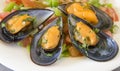 Vinaigrette mussels salad Royalty Free Stock Photo