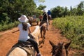 Cohabitation between tourists on horseback and Cubans with the w
