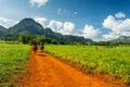 Vinales, Cuba. Horse riding