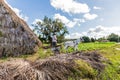 A typical view in Vinales Cuba