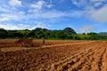 Cuba, Farmer in Valley de Vinales