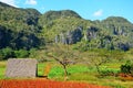 Vinales national park, Cuba