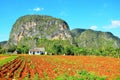 Vinales national park, Cuba