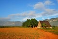 Vinales national park and its typical tobacco house, Cuba Royalty Free Stock Photo