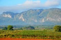 Vinales national park in the morning mist