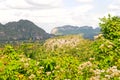 Vinales valley