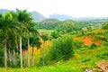 Vinales valley