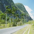 Vinales Valley Royalty Free Stock Photo