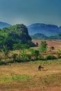 The Vinales Valley, Cuba