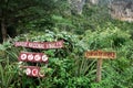 Vinales valley Cuba Caribbean Kuba UNESCO cigar