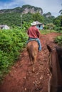 Vinales Valley, Cuba - September 24, 2015: Local cuban coutrysi