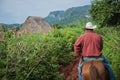 Vinales Valley, Cuba - September 24, 2015: Local cuban coutrysi