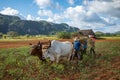 Vinales Valley. Typical view of Valle de Vinales with farm and mogotes. Pinar del Rio Province, Cuba