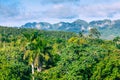 The Vinales Valley Valle de Vinales, popular tourist destination. Tobacco plantation. Pinar del Rio, Cuba Royalty Free Stock Photo