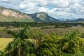 The Vinales Valley Valle de Vinales, popular tourist destination. Tobacco plantation. Pinar del Rio, Cuba Royalty Free Stock Photo