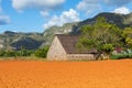 The Vinales Valley Valle de Vinales, popular tourist destination. Tobacco plantation. Pinar del Rio, Cuba Royalty Free Stock Photo