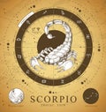 Vinatge magic witchcraft card with astrology Scorpio zodiac sign. Realistic hand drawing scorpion illustration.