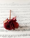 Vinatge sheet music Royalty Free Stock Photo