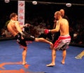 Vincent Ramirez Mixed Martial Artist