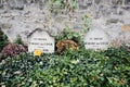 Vincent Van Gogh Grave with his brother Theo, Auvers-sur-Oise, FRANCE Royalty Free Stock Photo