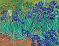 Vincent Van Gogh, Irises, 1889, Royalty Free Stock Photo