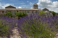 Vincent van Gogh's Asylum in Saint-Remy, France