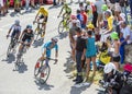 Vincenzo Nibali on Col du Glandon - Tour de France 2015 Royalty Free Stock Photo