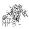 Vine barrel, glass and tree drawing Royalty Free Stock Photo