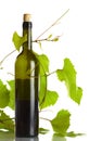 Vine and bottle Royalty Free Stock Photo