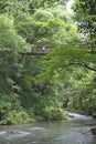 Vine bridge or Kazura bridge. A suspension bridge made of the plant called Shirakuchikazura.