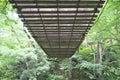 Vine bridge or Kazura bridge. A suspension bridge made of the plant called Shirakuchikazura.