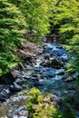 Vine bridge in Okuiya