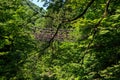 Vine bridge in Okuiya