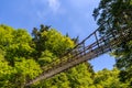 Vine bridge in Okuiya