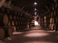 Vine cellar Royalty Free Stock Photo
