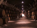 Vine cellar Royalty Free Stock Photo