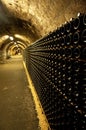 Vine cellar Royalty Free Stock Photo