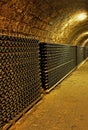 Vine cellar Royalty Free Stock Photo