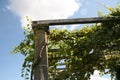 Vine column roman Greek Greek vineyard leaves grapes vines