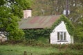 Vine covered cottage in Killarney National Park, Ireland