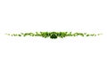 vine frame leaf vine isolates on a white background Royalty Free Stock Photo