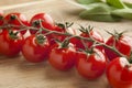 Vine with fresh cherry tomatoes Royalty Free Stock Photo