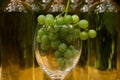Vine Glass with Grapevine Royalty Free Stock Photo