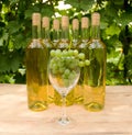 Vine Glass with Grapevine