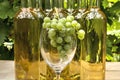 Vine Glass Royalty Free Stock Photo