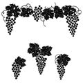 Vine grape ornament element decor set.