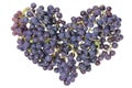 Vine grapes heart concept