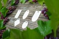 Vine with grapes and leaves around on vintage rustic wooden table. Set of differents paper tags template Royalty Free Stock Photo