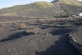 Vine growing in a land of volcanoes at Lanzarote