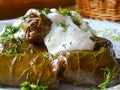 Vine leaves stuffed Royalty Free Stock Photo